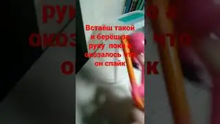ИСТОРИЯ  С ПОКО