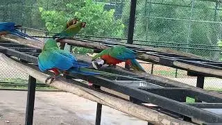 Bird park in hambantota sri lanka