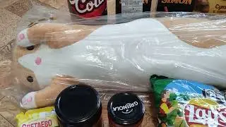 Покупки из Чижика. Кот-батон 🐱