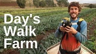 Paul Miragliotta of Days Walk Farm