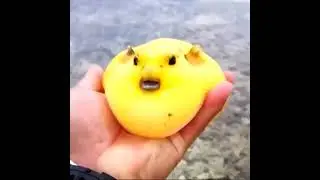 ⨄⨍⨋⨅⨍⨋⨇⨒