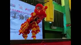 YMCA Sports and Traditional Martial Art Experience Day by Hong Kong Fighting Union Lion Dance