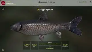 Русская рыбалка 4 [ оз. Медвежье - Амур белый трофей ]