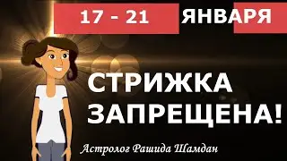 Благоприятные дни стрижки в январе Лунный календарь стрижек