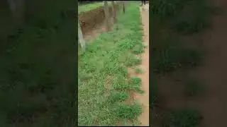on the way to BETHEL house of prayer .The stories 😂😂😂zile za Jaba