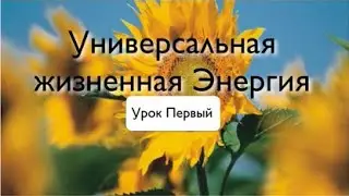 Первая ступень Рейки. Урок 1.