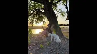 Rosangela Belisario - Mi Renuncia ( tema de Wilmer Tovar)