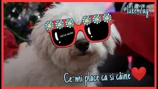 azi i-am luat contu'