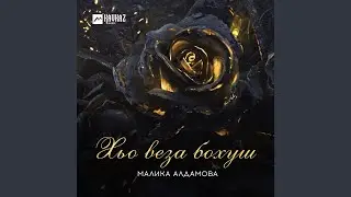 Хьо веза бохуш