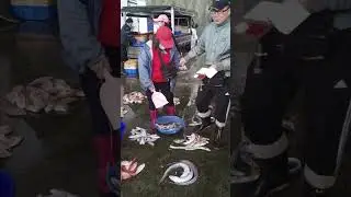 20241214六 大溪漁港
