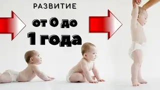 Развитие ребенка до года по месяцам. Календарь развития ребенка. Особенности развития детей.