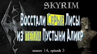 ✅Восстали Серые Лисы из пепла пустыни Аликр. 👍 [Skyrim, season 14, episode 3]