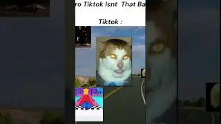 TikTok isn’t that bad… right? #subscribe #follow #fypシ #followforfollowback #funny