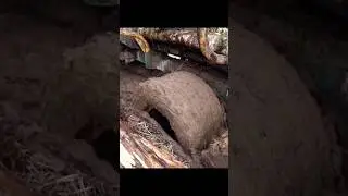 Жижа, грязь и мощные колёса.