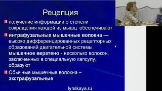 САДОВСКАЯ ДЕНЬ 2