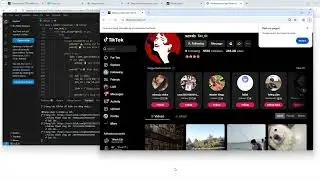[DEMO] Tool Auto Follow TDS Tik Tok Pc