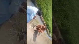 Shoaib Sial Shortcut a new video