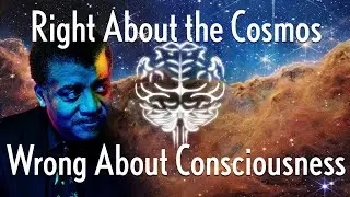 Why Neil deGrasse Tyson is Wrong about Consciousness