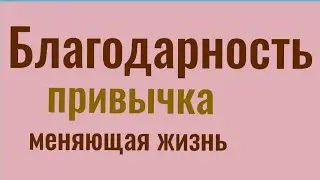 Благодарность - привычка, меняющая жизнь
