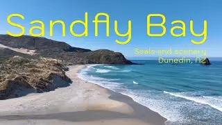 Sandfly Bay, Dunedin, New Zealand