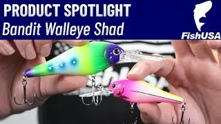 NEW for 2024 - Bandit Walleye Shad