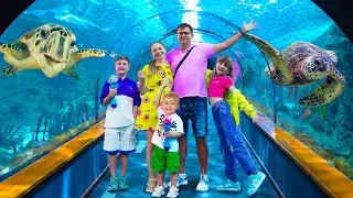 Diana y Roma Travel - Colección de Vlogs sobre viajes