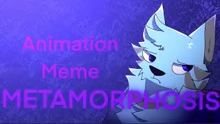 Metamorphosis Meme // FlipaClip