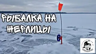 Рыбалка на жерлицы! Будет ли трофей на этой рыбалке?