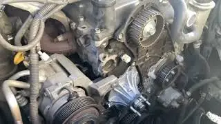 BFE JOB Tips and INFO Water pump Timing Belt Replacement