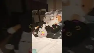 тебе котьков