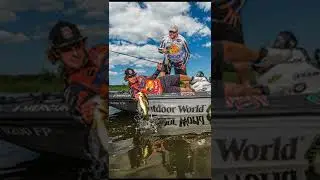 3 Facts About Professional Bass Fishing That You Never Would Have Guessed