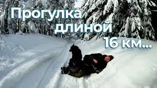 Поход на грязевой вулкан от п. Ключи