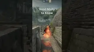 good molly to use on Ancient 
