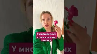 Участки многодетных стали изымать #риелтор #новостинедвижимости #финансы#инвестиции#многодетныесемьи