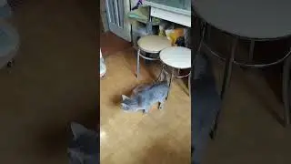 А я поймаю мячик