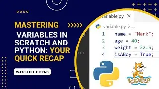 Mastering Variables in Scratch and Python: Your Quick Recap