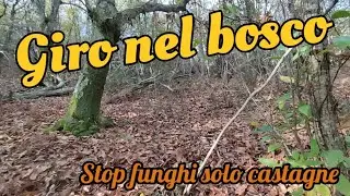 stagione finita , per i funghi dobbiamo aspettare 210 giorni
