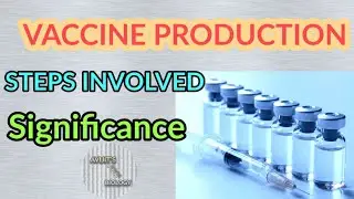 VACCINE PRODUCTION || STEPS INVOLVED IN VACCINE PRODUCTION || BIOTECHNOLOGY