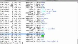 Linux File and Directory Permissions Explained