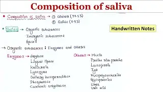Composition of saliva | Handwritten notes