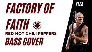 Red Hot Chili Peppers - Factory of Faith (Bass Cover)