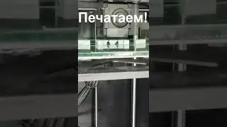 Заколка и брошь Нэнэ Ясиро из аниме Туалетный мальчик Ханако кун 