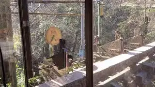 Sawing oak makes me nervous 😂  (part 5)