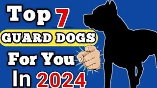Best Guard Dogs for you In 2022 || Best Guard Dogs ||| Top 7 Guard Dogs in 2022 #4Legged