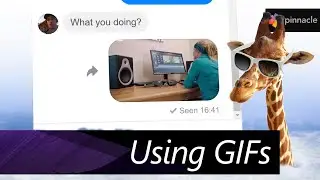 Animated GIFs in Pinnacle Studio