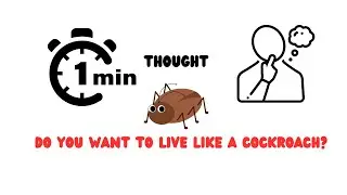 HOW YOU WANT TO LIVE?