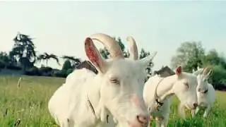 гр Плеханово  Деревня