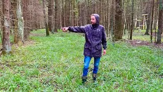 ГРИБНИКИ ДОЖДАЛИСЬ ЭТОГО! ГРИБЫ ЛИСИЧКИ ПОШЛИ БОЛЬШИМИ ПОЛЯНАМИ! Грибы 2022