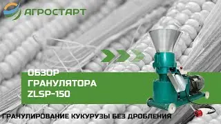 Гранулятор ZLSP-150. Гранулирование кукурузы без дробления. Агростарт
