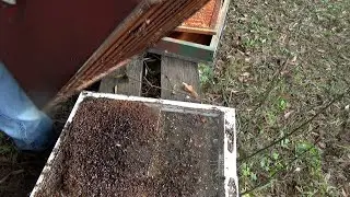 It's a dirty job but someone has to do it.